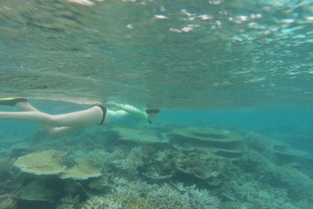 Photo of Others in Ukulhas