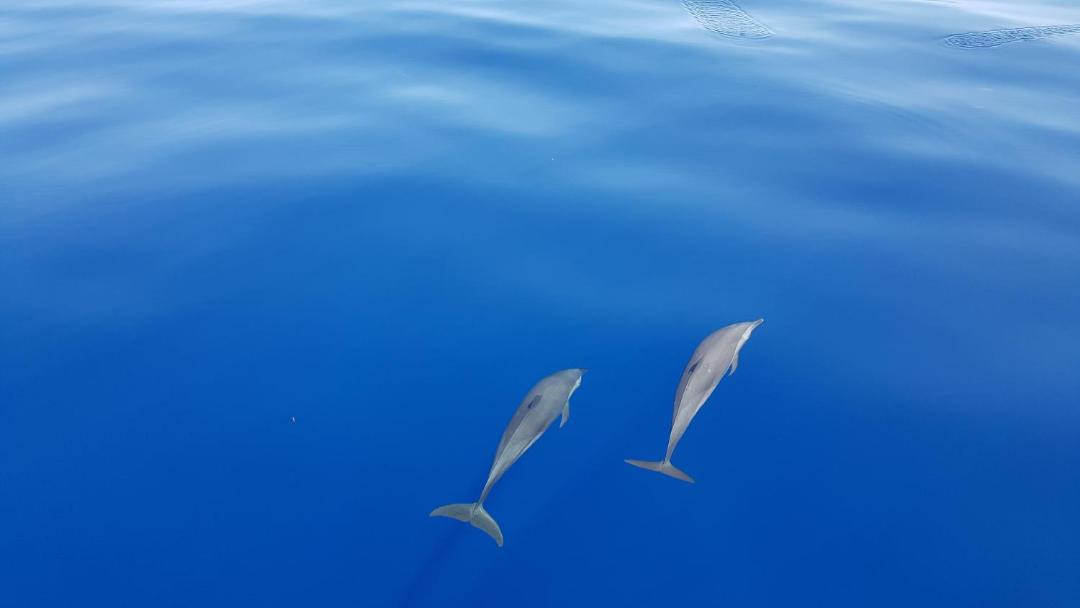 Photo of Others in Hangnaameedhoo