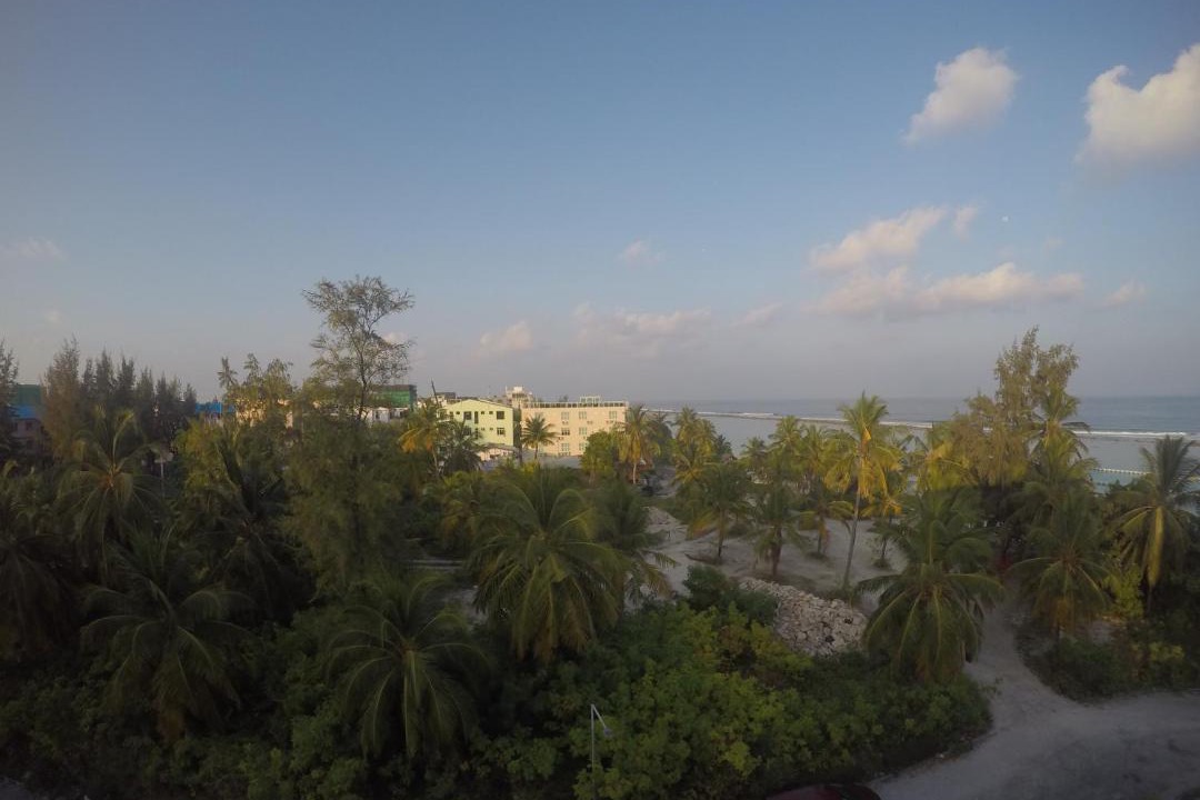 Photo of Others in Hulhumale
