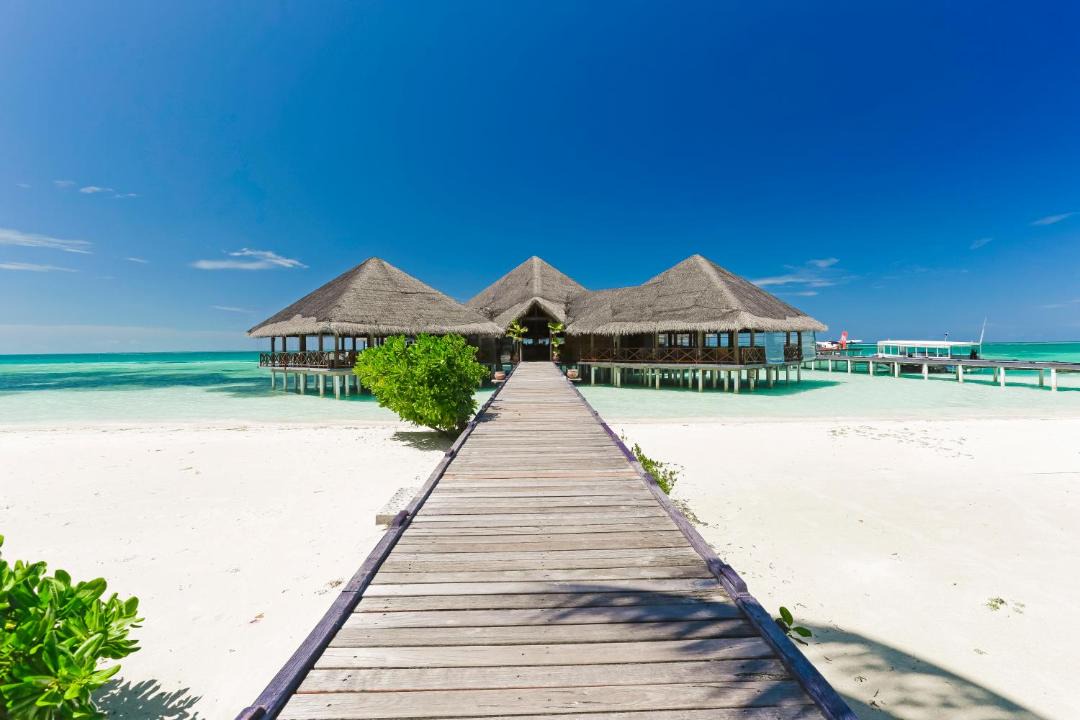 Photo of Others in Medhufushi