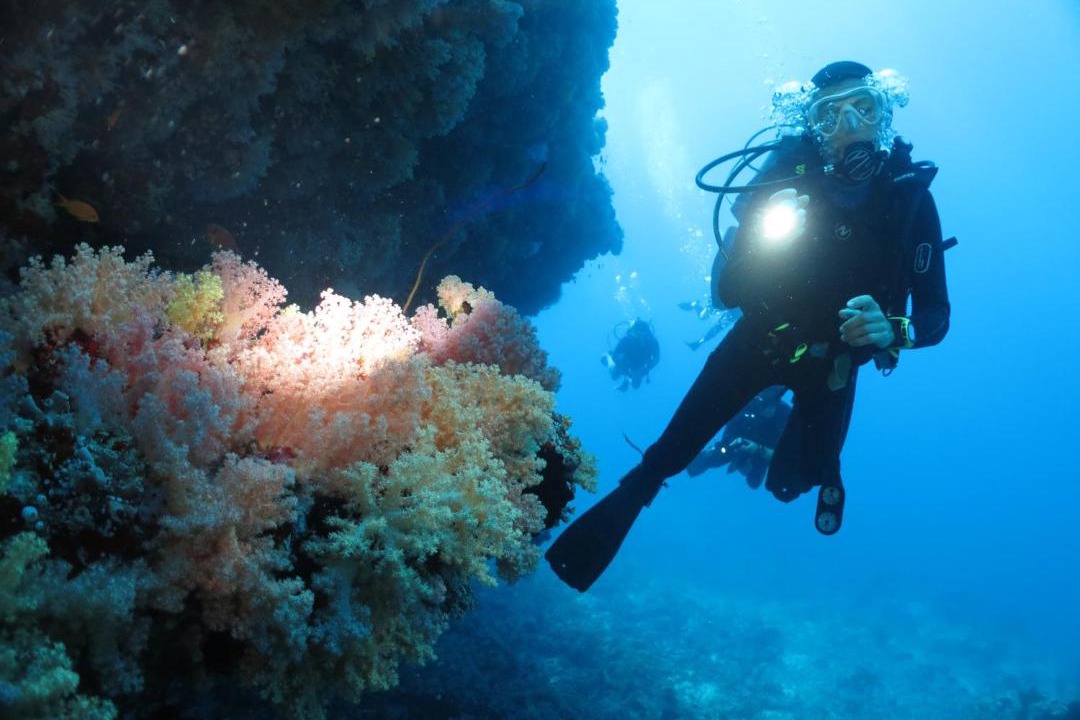 Photo of Others in Lhohifushi
