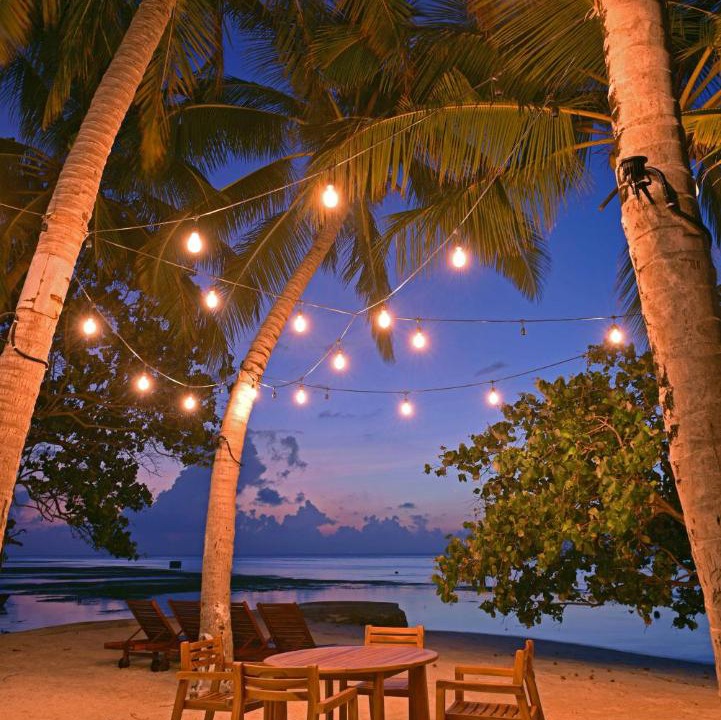 Photo of Others in Dhiffushi