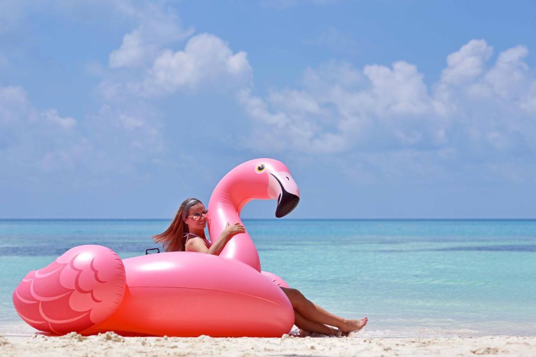Photo of Others in Dhiffushi