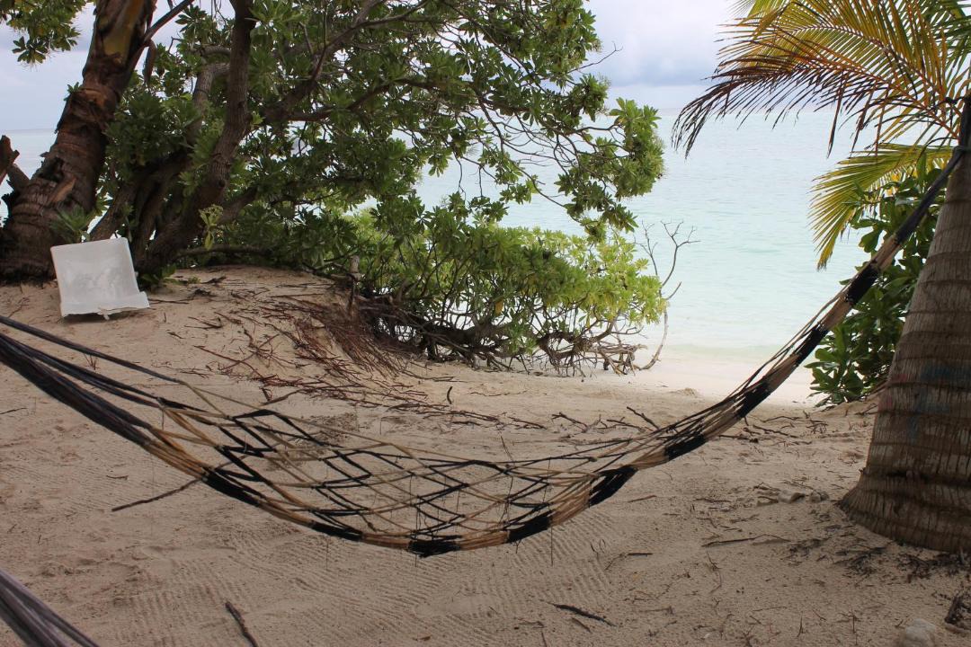 Photo of Others in Thoddoo