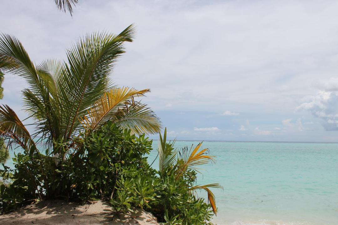 Photo of Others in Thoddoo
