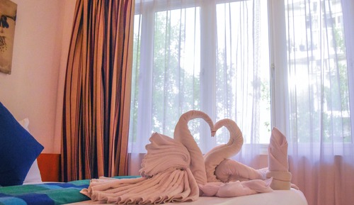Deluxe Double Room with Balcony 