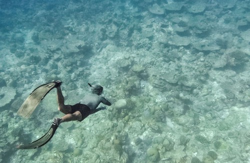 Kudahuvadhoo Hotel | Oceana surf Maldives - Kudahuvadhoo