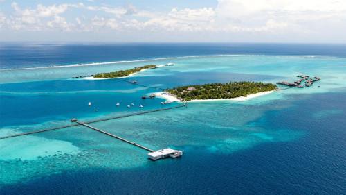 Rangalifinolhu Resort | Conrad Maldives Rangali Island