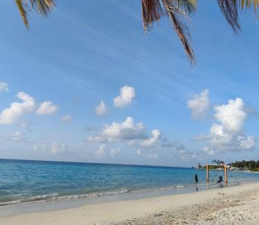 Kudahuvadhoo House | Blue Wave Guesthouse Maldives - Book FB a week gets a free excursion