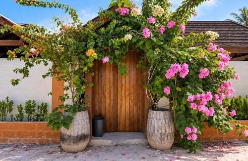 Gemanafushi House | Suncoral Maldives