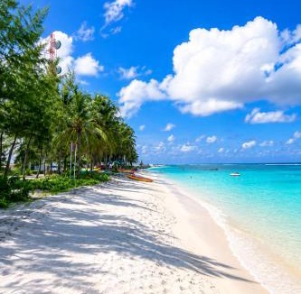 Farukolhufushi Island Apartment | Calmella Home 3BR Balcony Airport Pickup