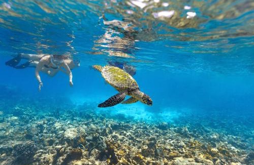 Huruvalhi Resort | The Standard, Maldives, by Hyatt