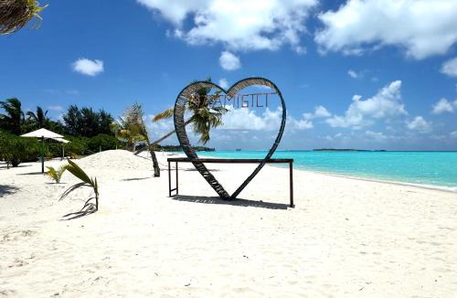 Maamigili Bed & Breakfast | Whaleshark View