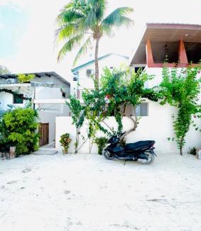 Thulusdhoo Island Hotel | VelaaOlhu - Turtle Hive Thulusdhoo