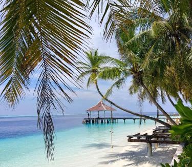 Mahibadhoo Hotel | Karanka Villa @ Mahibadhoo