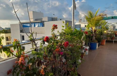 Male House | Terrace Garden HomeStay