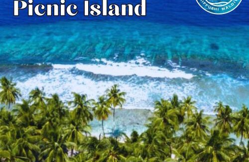 Dhiffushi Hotel | All Inclusive Stays by Dhiffushi Travel and Tours