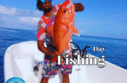 Dhiffushi Hotel | All Inclusive Stays by Ola Travel and tours