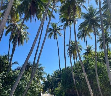 Milandhoo House | Gaskara Guesthouse