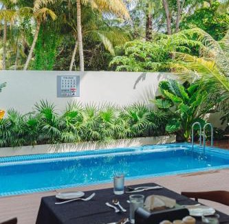 Dharavandhoo Hotel | Aire Dharavandhoo