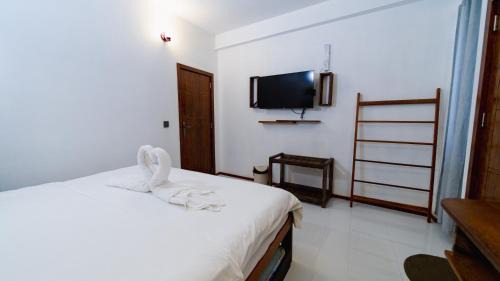 Dhiffushi Hotel | VelaaVani - Turtle Hive Dhiffushi