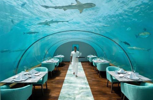 Rangalifinolhu Resort | Conrad Maldives Rangali Island