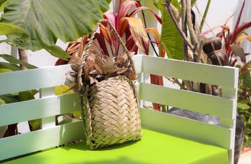 Thoddoo House | Veli garden thoddoo