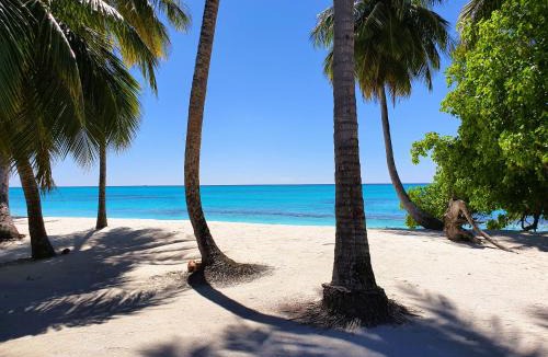 Fulhadhoo House | The Fulhadhoo Beach Cottage