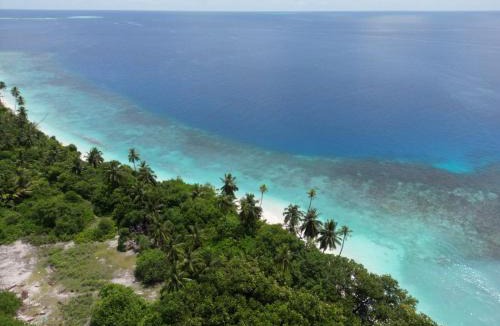 Thimarafushi House | Finimas Residence
