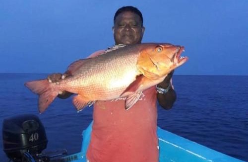 Maafushi House | Chao Guest House
