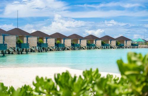 Muli Resort | Madifushi Private Island - Free Domestic Flight on Stays of 5 Nights or More