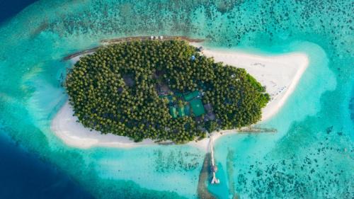 Rinbudhoo Resort | Yash Nature Resort, Maldives
