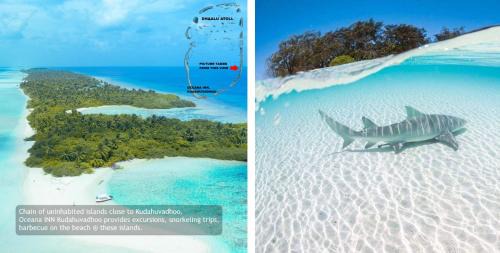 Kudahuvadhoo House | Oceana Inn Maldives -Free airport assistance at both international and domestic airports