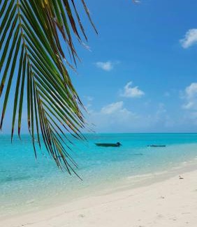 Mathiveri Hotel | Mystic Maldives Mathiveri Retreat