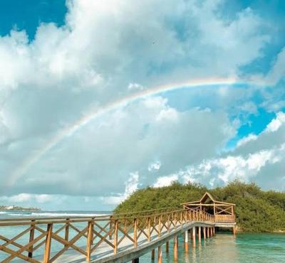 Rozemeed Stay Thulusdhoo in Thulusdhoo