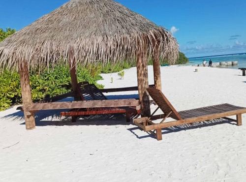 PalmRest