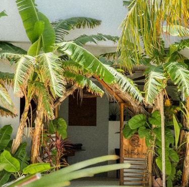 Dhiffushi Inn in Dhiffushi